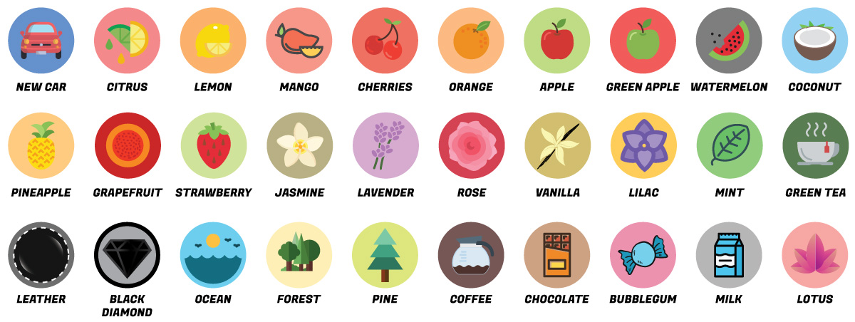 scent-chart